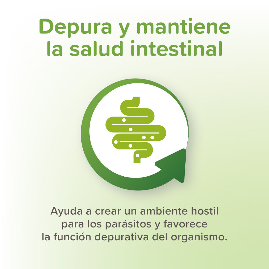 125 g Beaphar Vermipure Desparasitante pasta para perros, , large Imagen numero 4