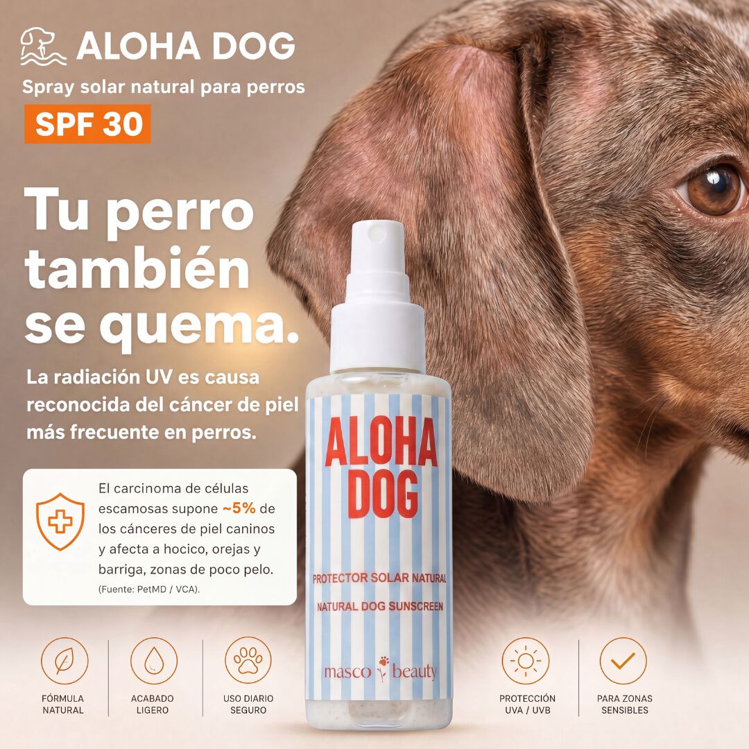 Pack Verano Patas y Sol para perros &middot; Crema Protectora de Almohadillas + Spray Solar SPF 30 &middot; Protecci&oacute;n frente al asfalto caliente y las quemaduras solares &middot; Hecho en Espa&ntilde;a, , large Imagen numero 4