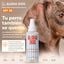 Pack Verano Patas y Sol para perros &middot; Crema Protectora de Almohadillas + Spray Solar SPF 30 &middot; Protecci&oacute;n frente al asfalto caliente y las quemaduras solares &middot; Hecho en Espa&ntilde;a, , large indicador imagen numero 4