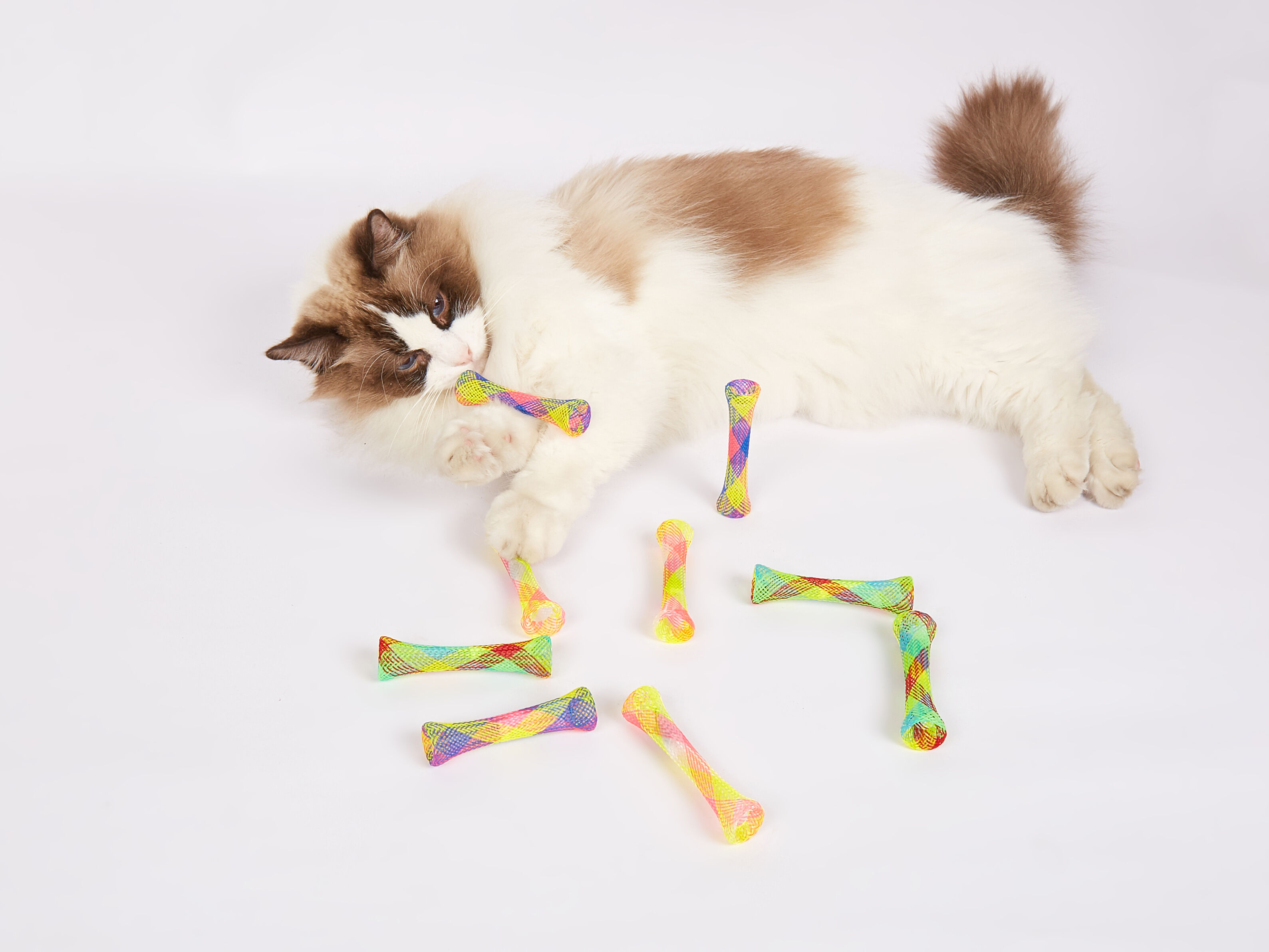 FOFOS | Tubo de Resorte (Pack 3 unidades) - Para Gato, , large Imagen numero 3