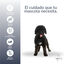 MD-10 Champú Hidratante vegano para perro de Agua Español negro, , large indicador imagen numero 3