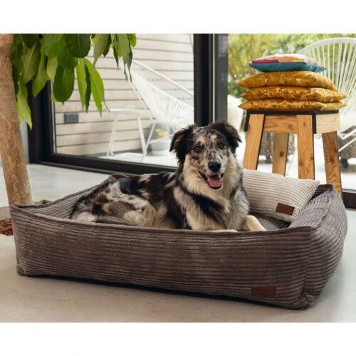 Designed by Lotte Cuna Lavable para perros, , large Imagen numero 2