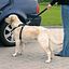 Trixie Arnés para Coche para perros, , large indicador imagen numero 2