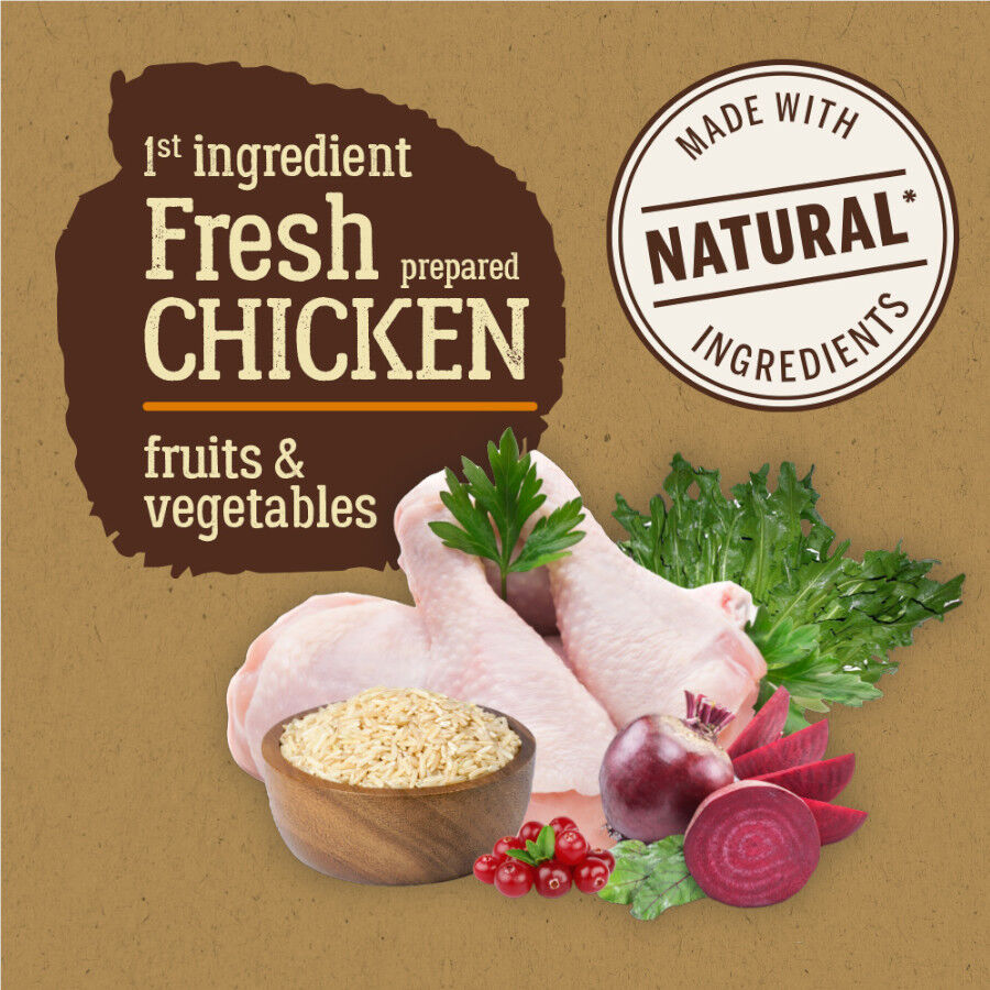 True Origins Pure Adult Pollo pienso para gatos thumbnail