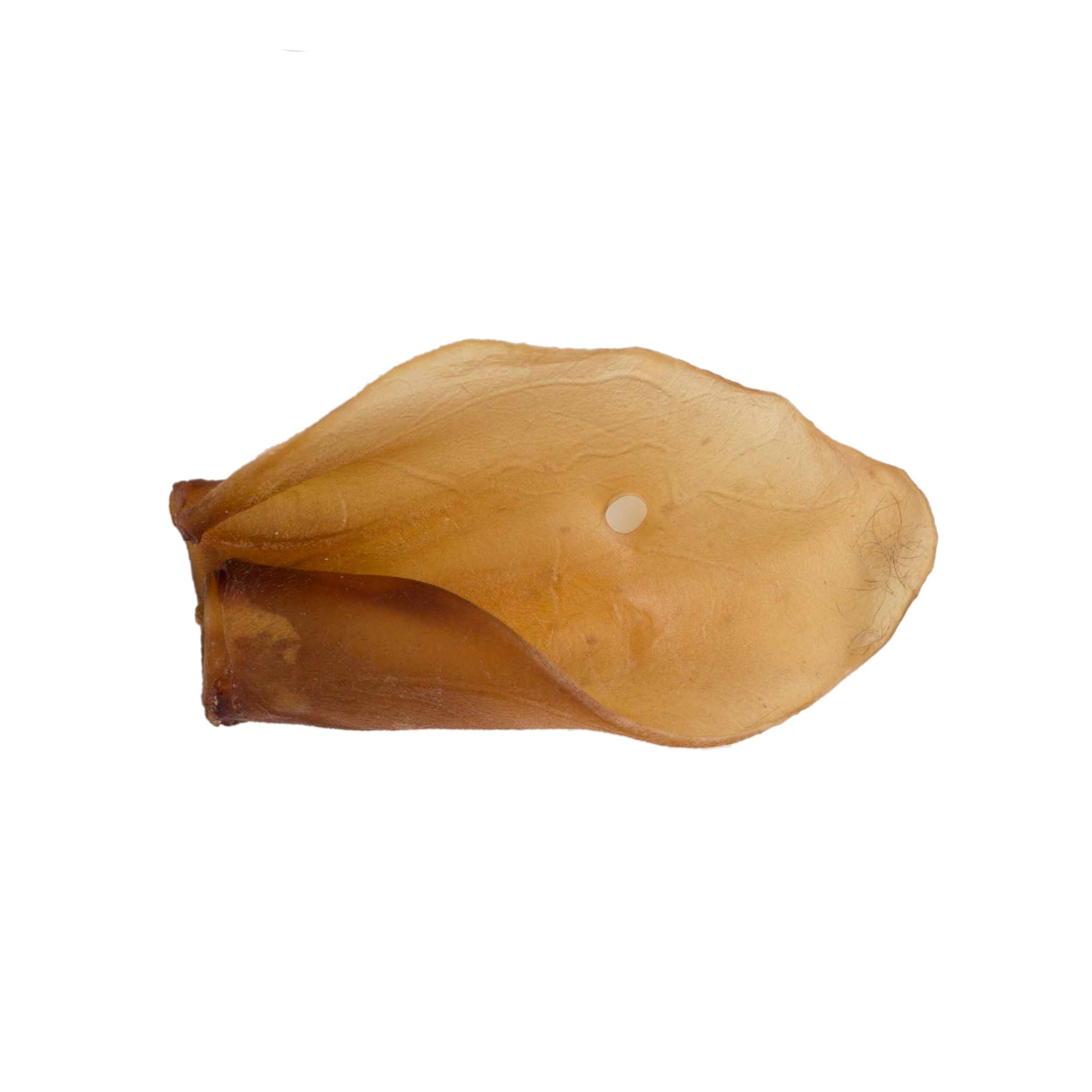 Snack 100% Natural PETplus de oreja de vacuno para perros, , large Imagen numero 1