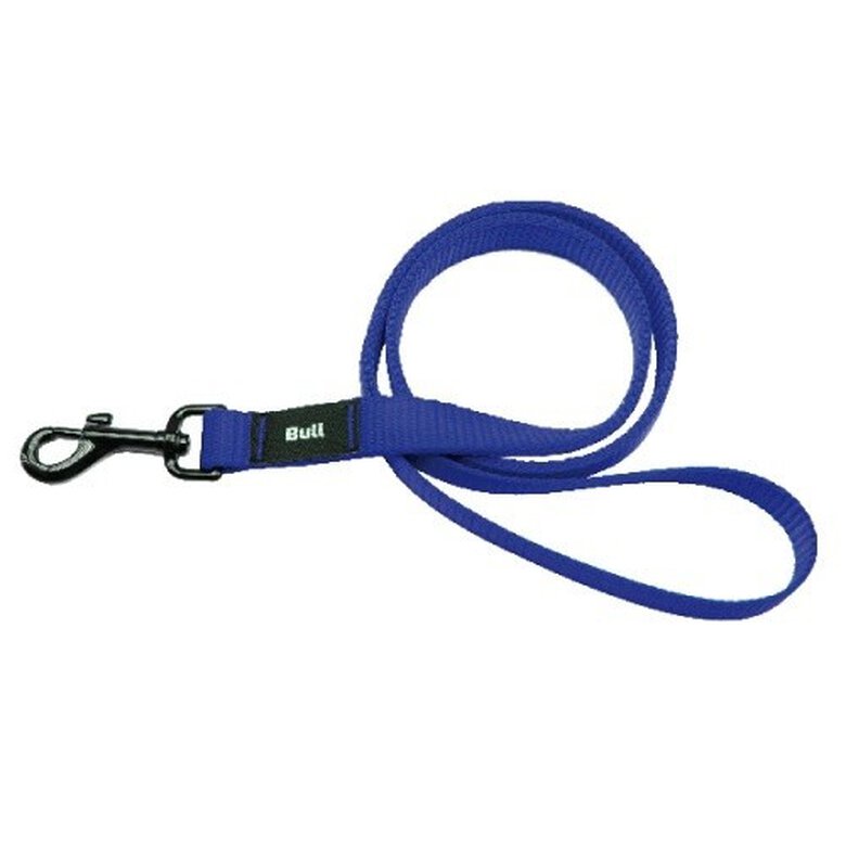 Correa de nylon lisa para perros color Azul, , large image number null