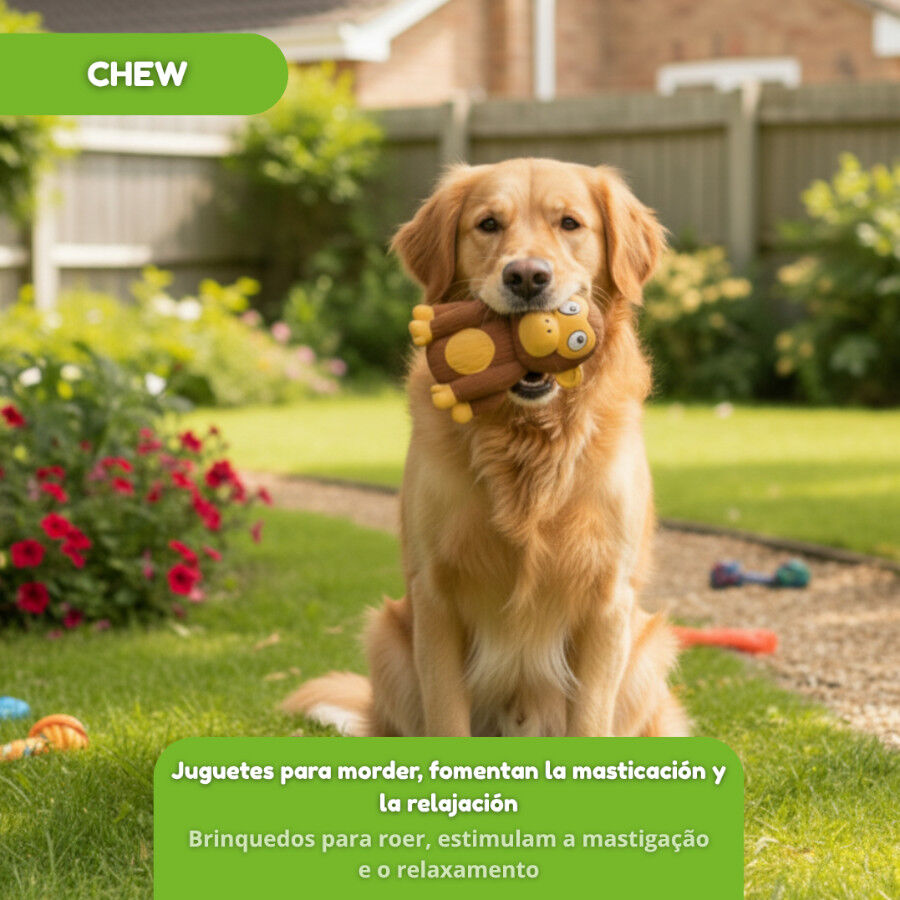 Tootoy! Chimpanc&eacute; Mordedor con Sonido para perros, , large Imagen numero 5