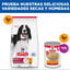 14 kg Hill's Science Plan Adult Medium Pollo pienso para perros, , large indicador imagen numero 9