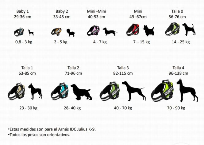 JULIUS - K9 Arn&eacute;s Julius k-9 IDC Powair Rosa, , large Imagen numero 2