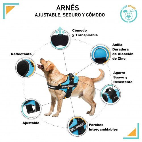 Arn&eacute;s personalizado Super Doggy para perros color Azul turquesa, , large Imagen numero 2