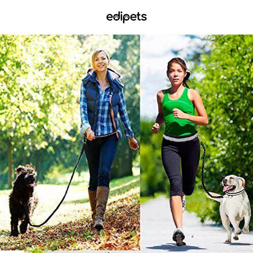 Edipets canicross correa manos libres con portabotellas negra para perros, , large Imagen numero 5