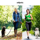 Edipets canicross correa manos libres con portabotellas negra para perros, , large image number null