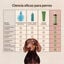 Masco Beauty Champ&uacute; Pistacho y Avena para perros, , large indicador imagen numero 5