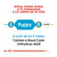 1.5 kg Royal Canin Puppy Chihuahua pienso para cachorros, , large indicador imagen numero 7