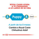 Royal Canin Puppy Chihuahua pienso para perros, , large image number null