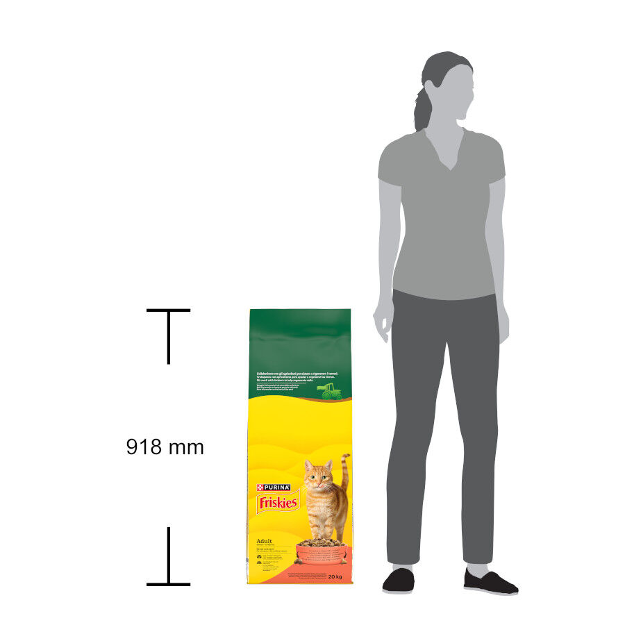 20 kg Friskies Adult Buey con Pollo y Verduras pienso para gatos, , large Imagen numero 6