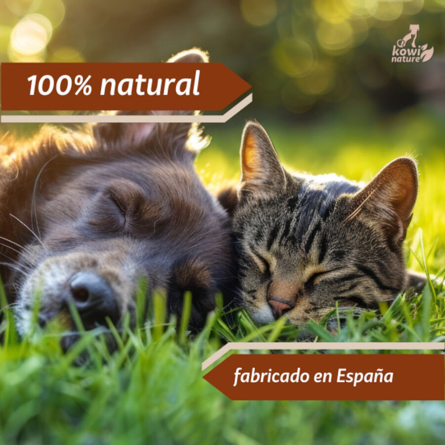 KOWI RELAX DROPS, 60 ML, , large Imagen numero 5