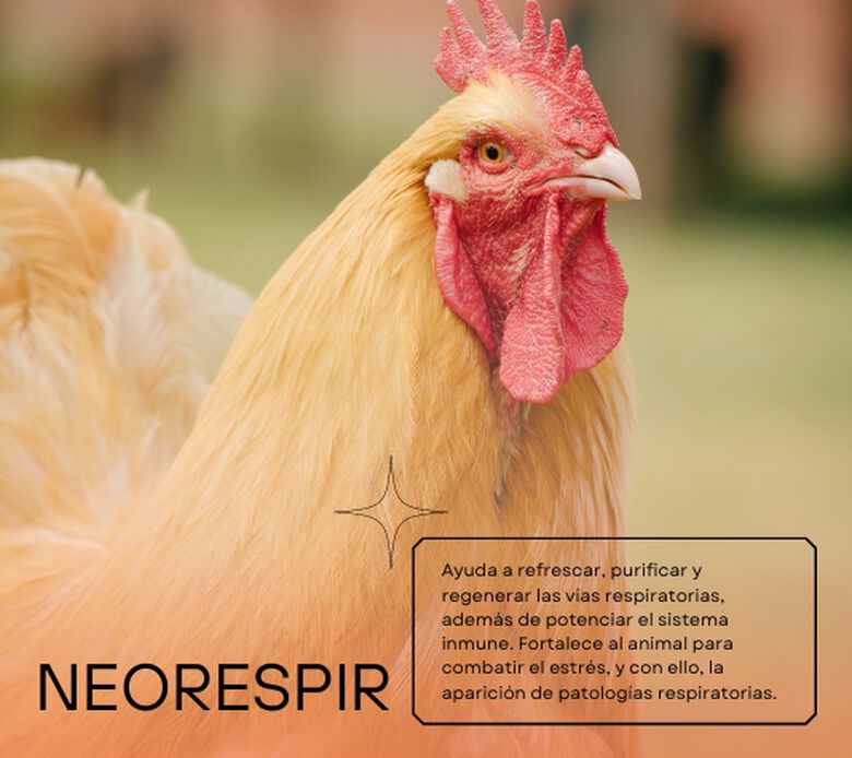 Finca Casarejo Neorespir Mucolítico para Gallinas thumbnail