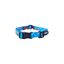Collar para perro Rogz Fusion – Diseño Comic Azul (4 tallas), , large indicador imagen numero 3