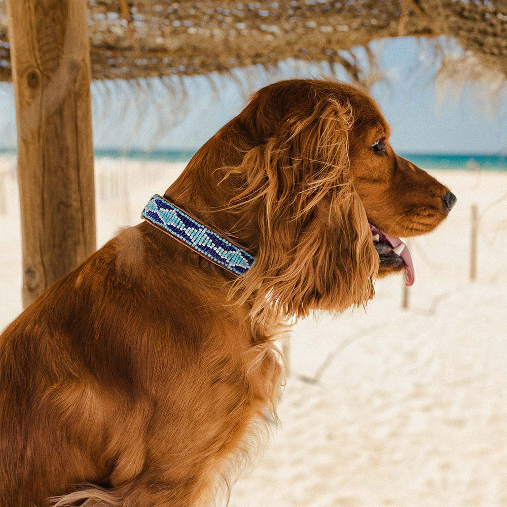 COLLAR MADAGASCAR - M, , large Imagen numero 2