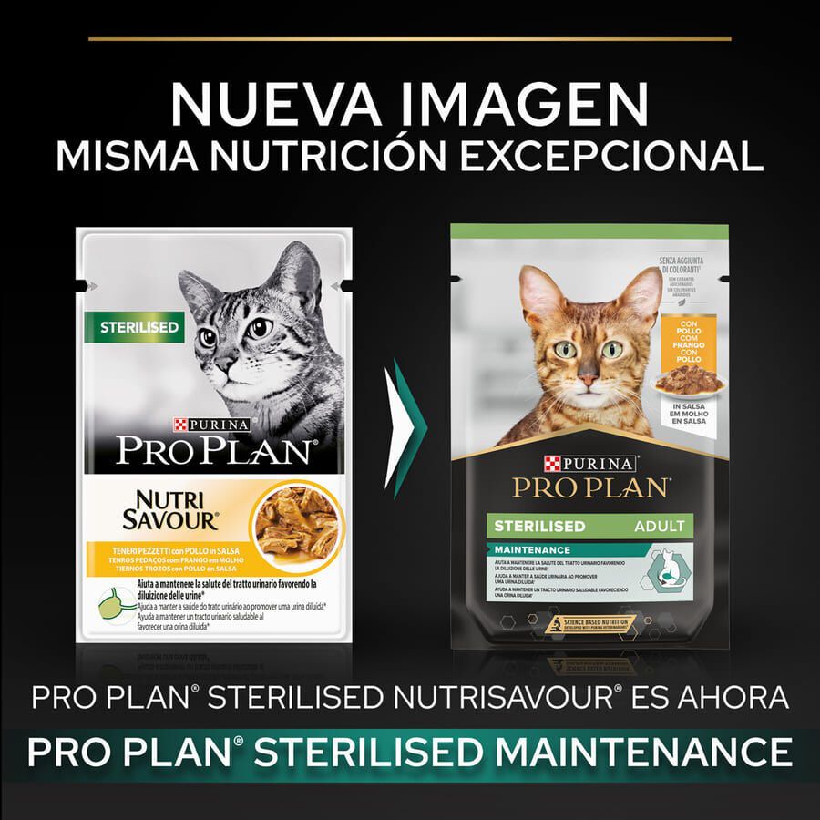 Pro Plan Sterilised Maintenance sobre con Pollo en salsa para gatos thumbnail