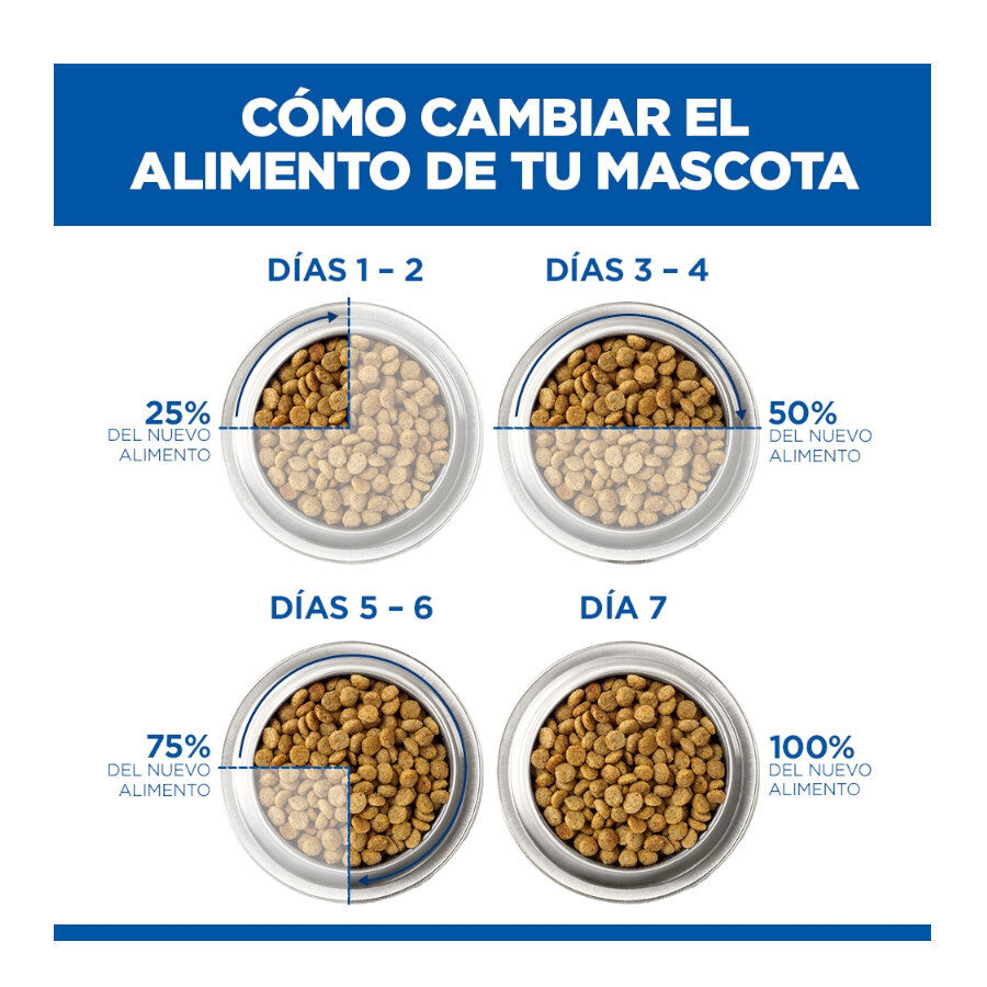 85 g Hill's Science Plan Kitten Pollo sobre en salsa para gatitos, , large Imagen numero 8