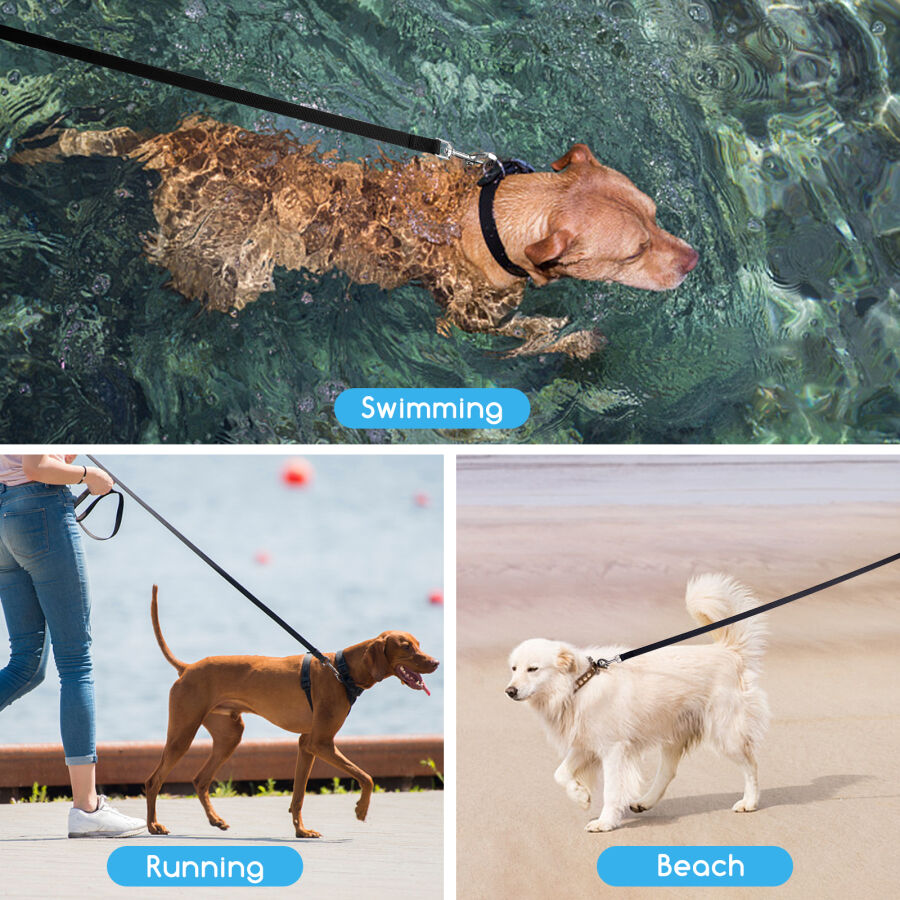 Nobleza Correa de Adiestramiento para Perros, 5 m/10 m/15 m para Perros Grandes y Peque&ntilde;os, para Mascota Camping Paseo Entrenamiento, , large Imagen numero 4