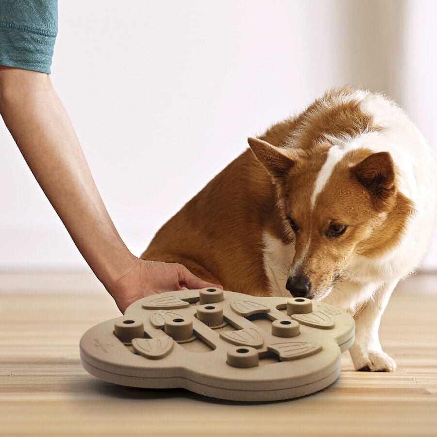 Outward Hound Hide n’ Slide Puzzle para perros thumbnail