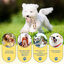 Nobleza Correa de Juguetes Interactivos para Perros 2 Pack, Juguete Perro de Cuerda de Algodón 100% Natural, Juguete Indestructible para la Dentición del Cachorro - Juguete de Tira y Afloja - 20cm, , large indicador imagen numero 4