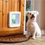 SureFlap Solapa de Microchip Blanco para gatos, , large indicador imagen numero 4