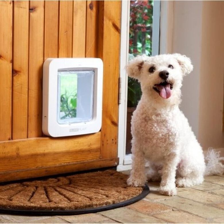 SureFlap Solapa de Microchip Blanco para gatos thumbnail