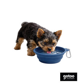 Gotoo Comedero Plegable y Port&aacute;til de Silicona Azul para perros y gatos