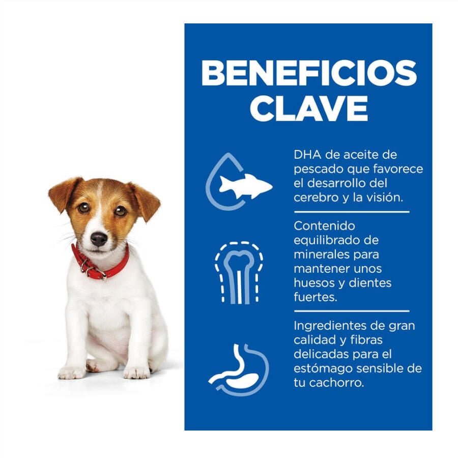 Hill&#039;s Science Plan Puppy Small y mini Cordero y arroz para perros thumbnail