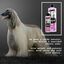Petuxe champú hidratante para mantos largos y lisos para mascotas, , large indicador imagen numero 3