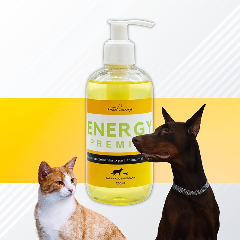 Suplemento Energético para Perros y Gatos - Energy Premium 250 ml - Aporta Vitalidad y Energía a tu Mascota en Épocas de Mayor Desgaste Energético - Fácil de Aplicar - Sabor Apetecible, , large image number null