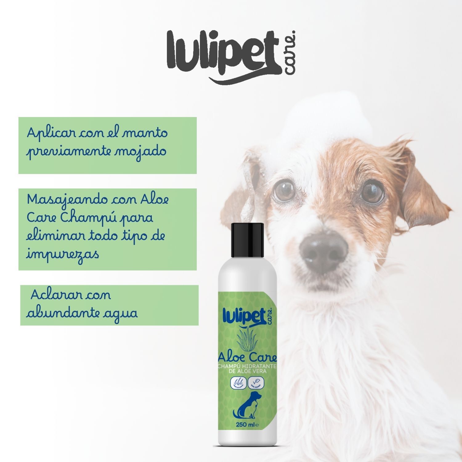 Champ&uacute; Aloe Care - Champ&uacute; de aloe vera 250 ml, , large Imagen numero 4