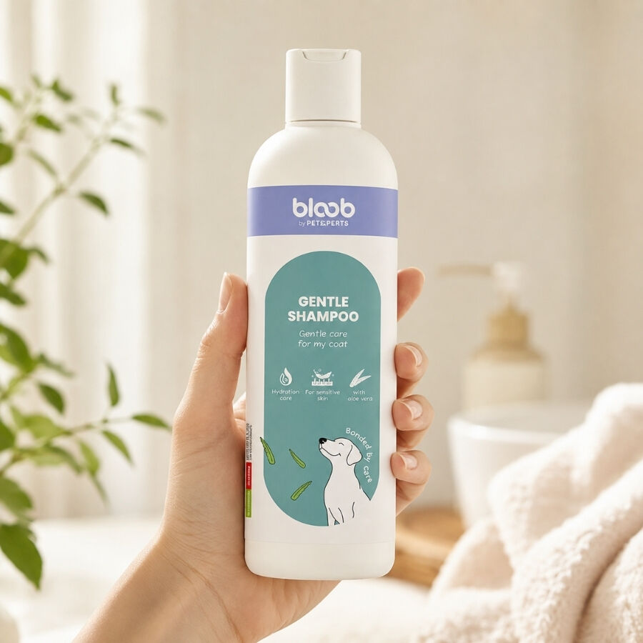Bloob Champ&uacute; Piel Sensible Aloe Vera para perrros, , large Imagen numero 1