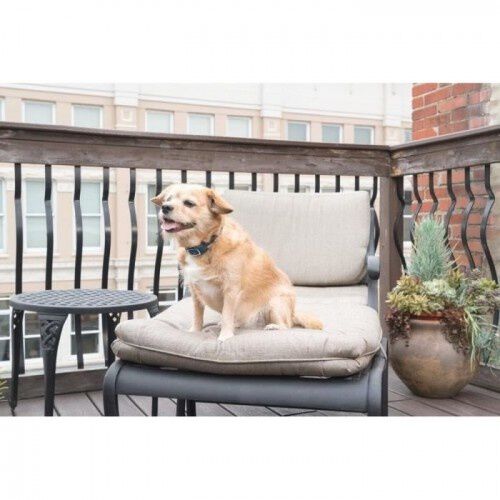 Petsafe sistema de adiestramiento apoyo educativo para perros, , large Imagen numero 2