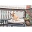 Petsafe sistema de adiestramiento apoyo educativo para perros, , large indicador imagen numero 2