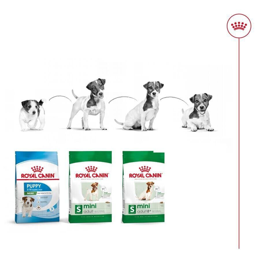 Royal Canin Mini Adult pienso para perros thumbnail