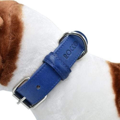Loyal collar rocco azul para perros, , large Imagen numero 2