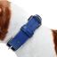 Loyal collar rocco azul para perros, , large indicador imagen numero 2