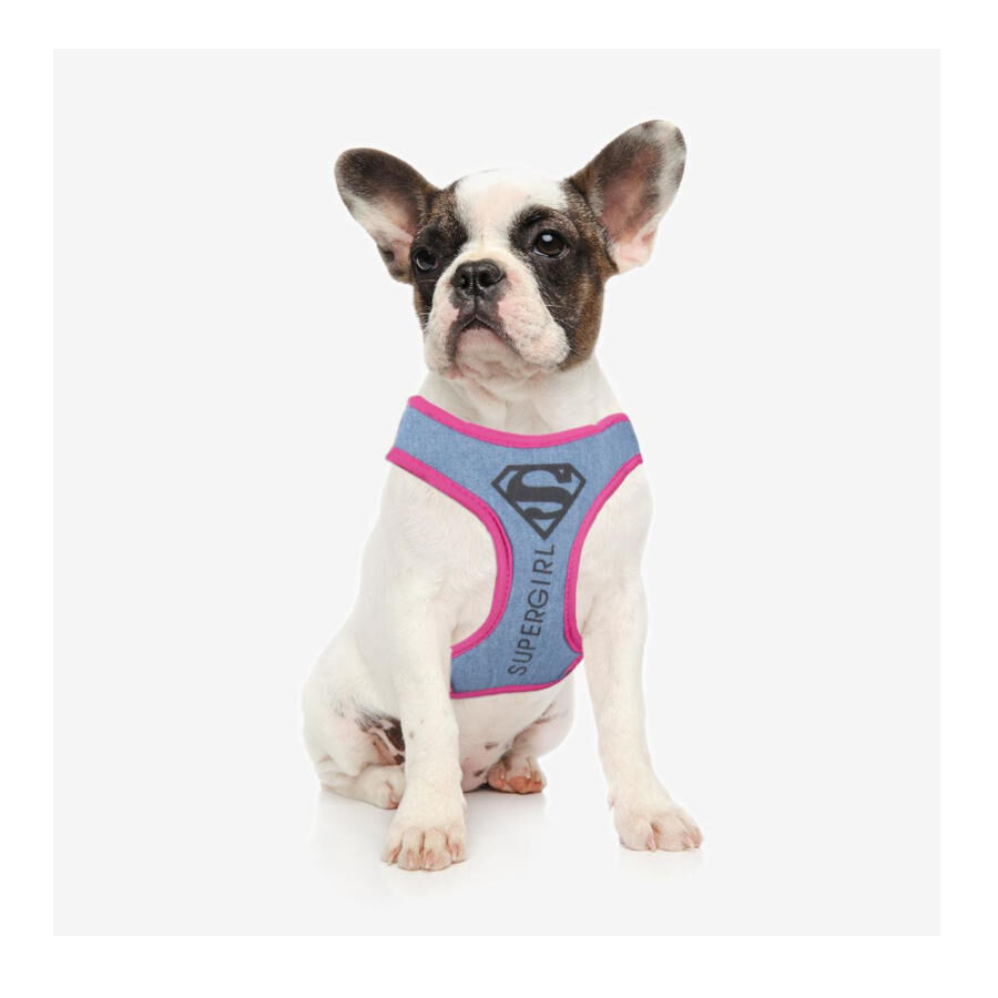 DC Comics Supergirl Arn&eacute;s Estampado para perros, , large Imagen numero 2