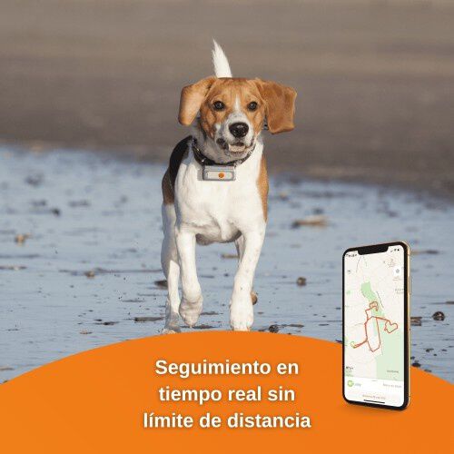 Localizador Weenect GPS Dogs&sup2; para perros, , large Imagen numero 2