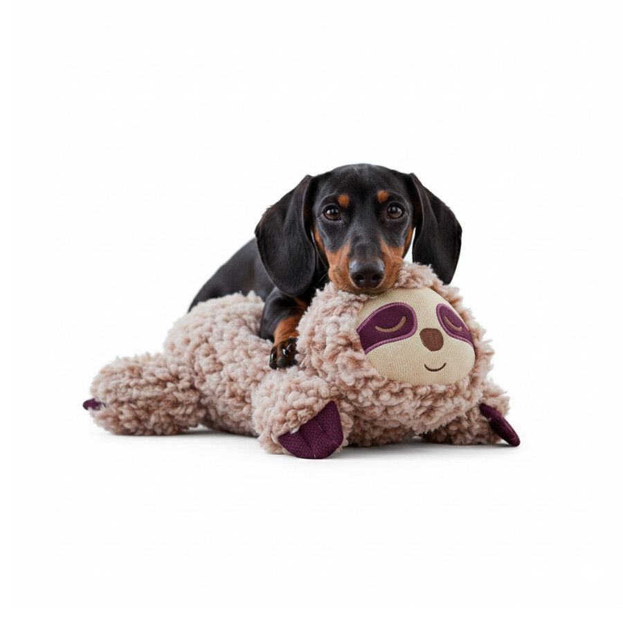 All For Paws Calming Pals Perezoso con Lavanda Juguete para perros  , , large Imagen numero 3