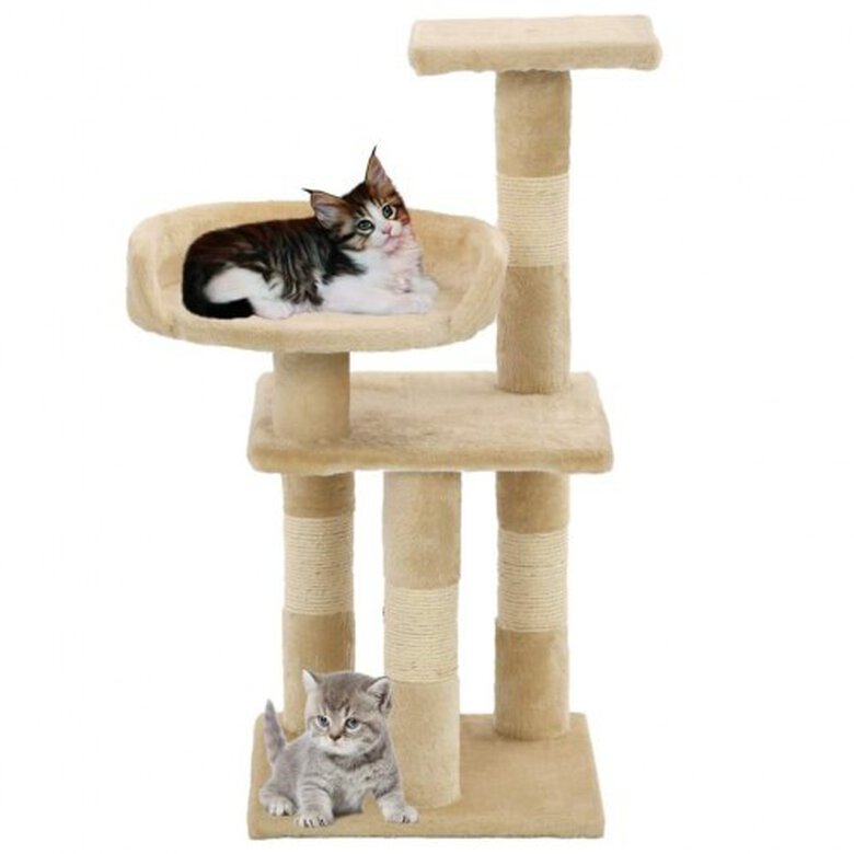 Rascador con poste de sisal para gatos color Beige, , large image number null
