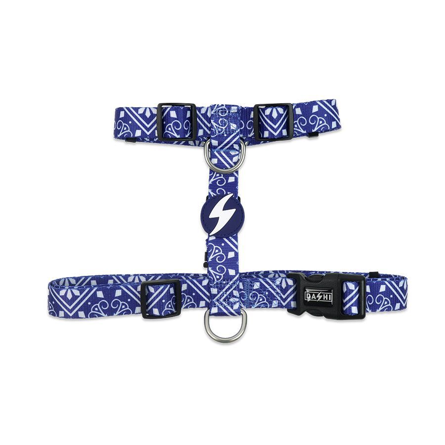 Arn&eacute;s para perros Dashi Zillij Peque&ntilde;o, , large Imagen numero 1