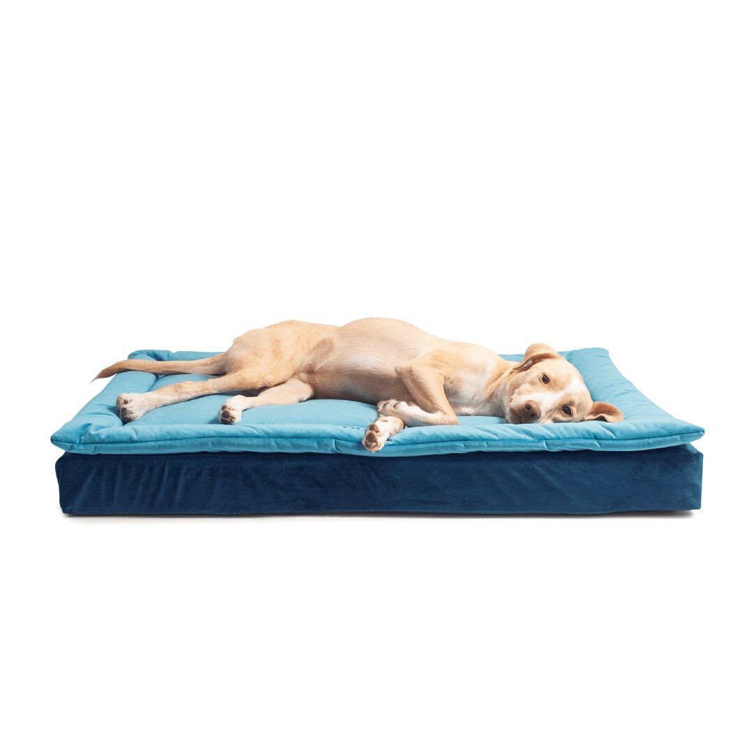 Camas tiendanimal online