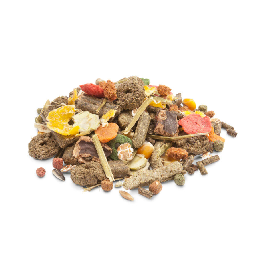 Versele Laga Crispy Muesli pienso para conejos thumbnail