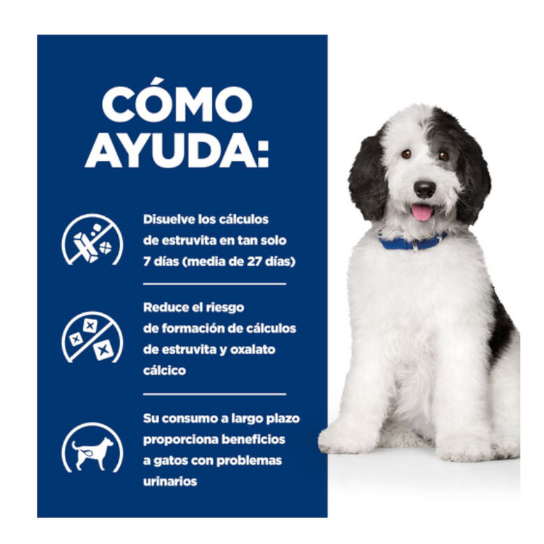Hill's Prescription Diet Urinary Care Pollo pienso para perros, , large image number null